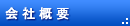 ЊTv