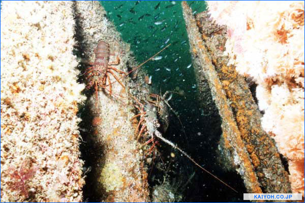 �O�y�[�W��