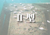II ^