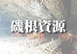 鍪