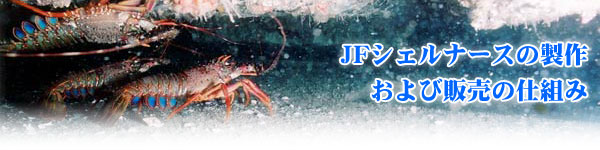 JFVFi[X̐삨є̔̎dg