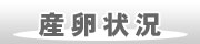 産卵状況