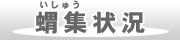 蝟集(いしゅう)状況